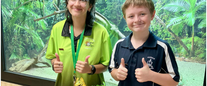 Lilydale High School Newsletter – Issue 2